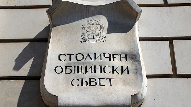 Мнения и коментари