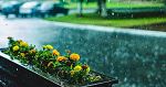 Отново хладно и с превалявания на места