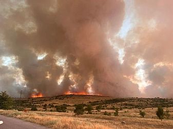 Заради пожарите: Частично бедствено положение в Костинброд