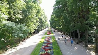 Простреляха мъж в Морската градина във Варна