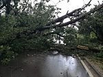 Стотици са без ток след бурята в Шуменско