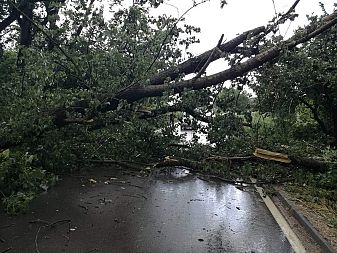 Стотици са без ток след бурята в Шуменско