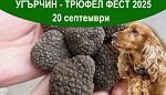 Угърчин -Трюфел фест 2025 ще бъде на 20 септември!