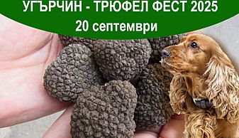 Угърчин -Трюфел фест 2025 ще бъде на 20 септември!