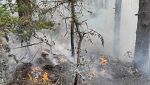 Разраства се пожарът в Рила, търсят се доброволци