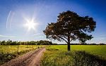 Слънчево и топло време и днес