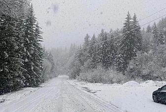 С какви температури ще посрещнем Коледа?