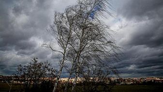 Опасен вятър до 80 км/ч ни връхлита в следващите дни