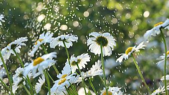 Слънце и топло време и през следващите дни