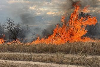 Подозират умишлен палеж за пожара край Пловдив