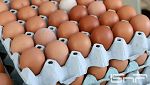 Вносител на яйца: Не е това начинът – да опетним вноса, за да продаваме българското