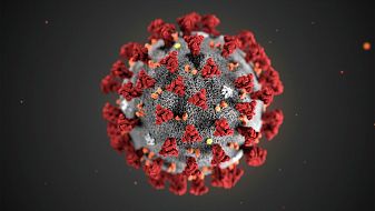 1086 са новите случаи на коронавирус у нас